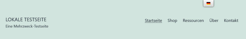 modified language switcher