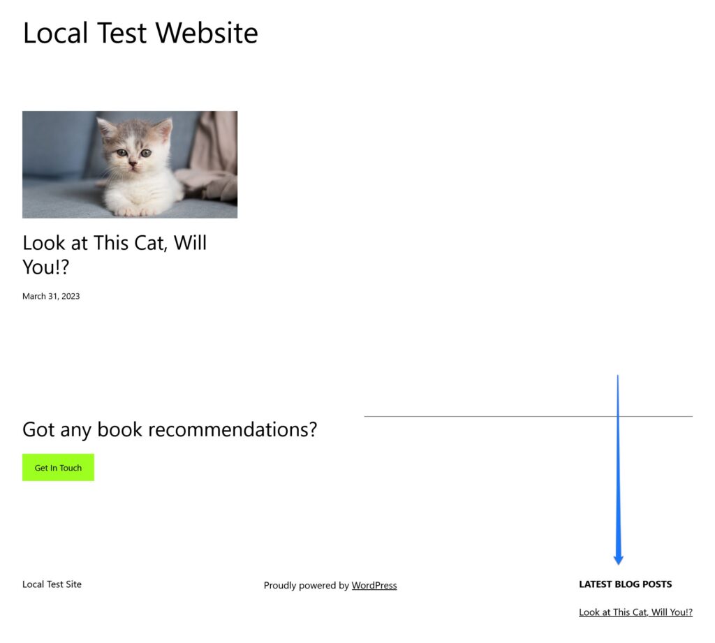 new widget in footer on website front end