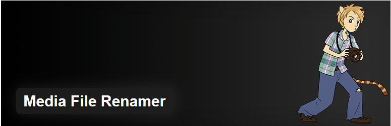 media file renamer